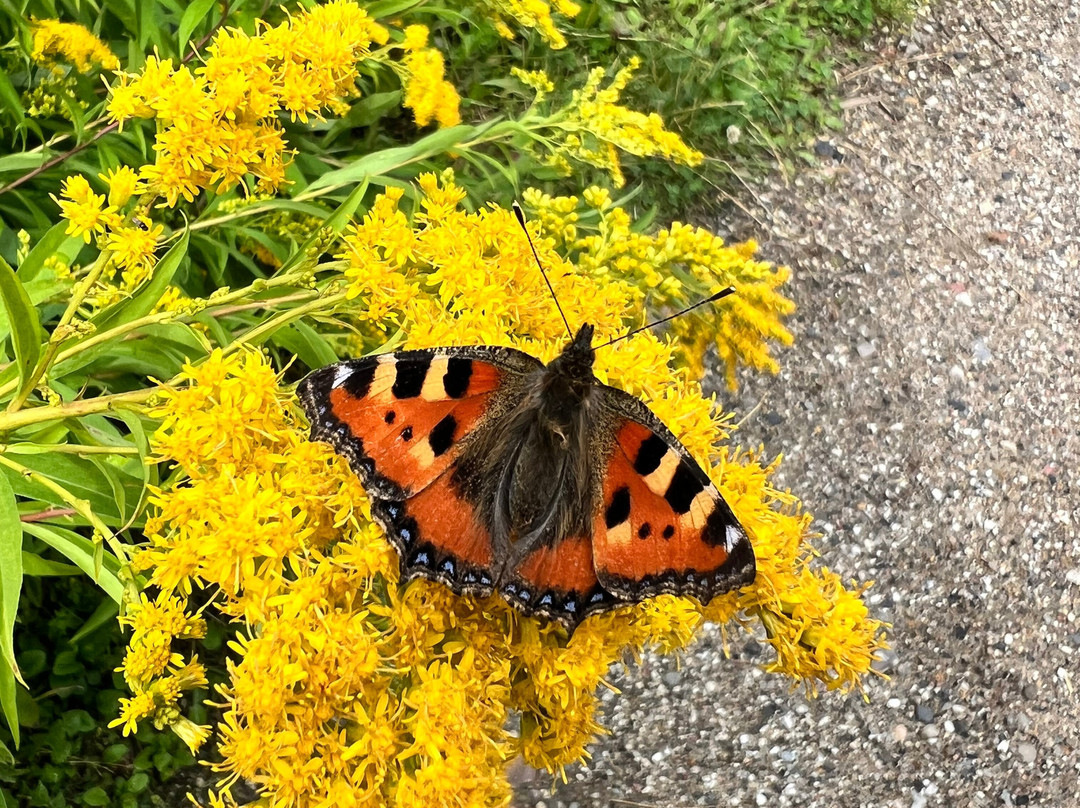 老城博物馆,国立露天都市历史与文化博物馆-欧胡斯必去景点