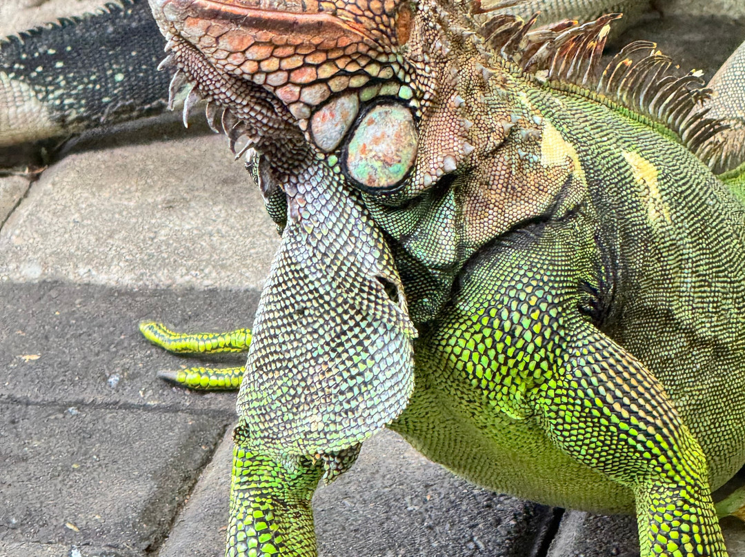 Sea Salt Beachfront Bar and Restaurant