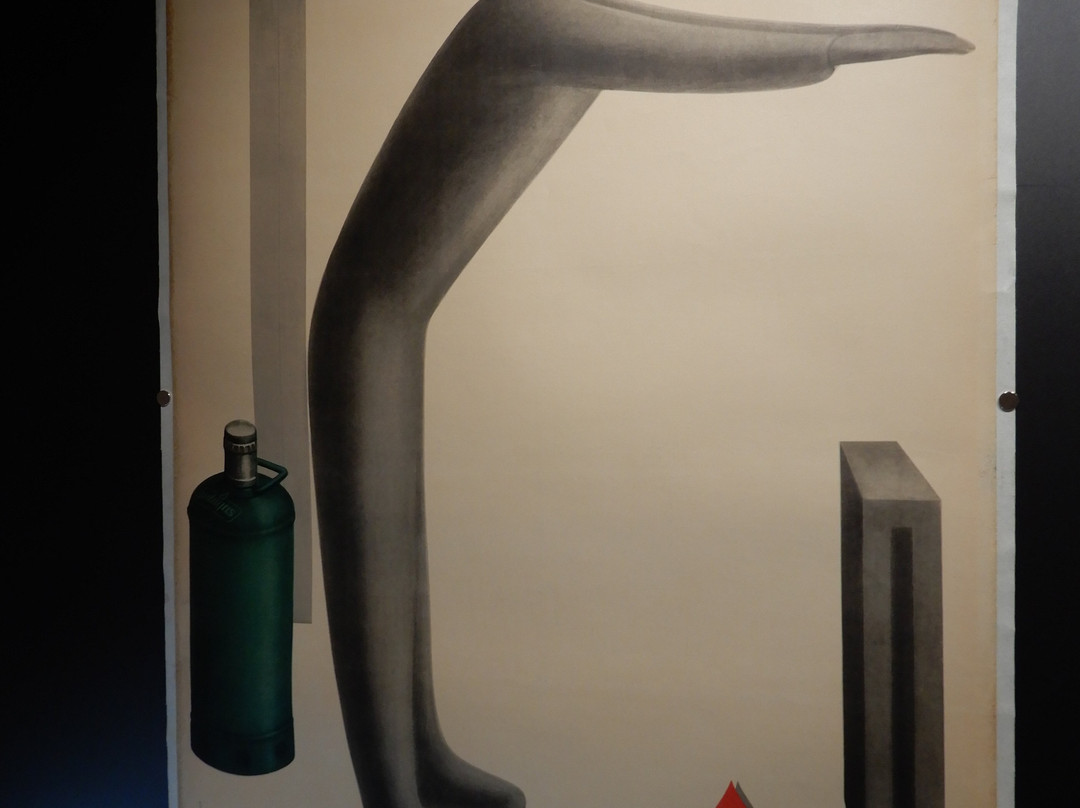 Collezione Salce Museo Nazionale-特雷维索必去景点