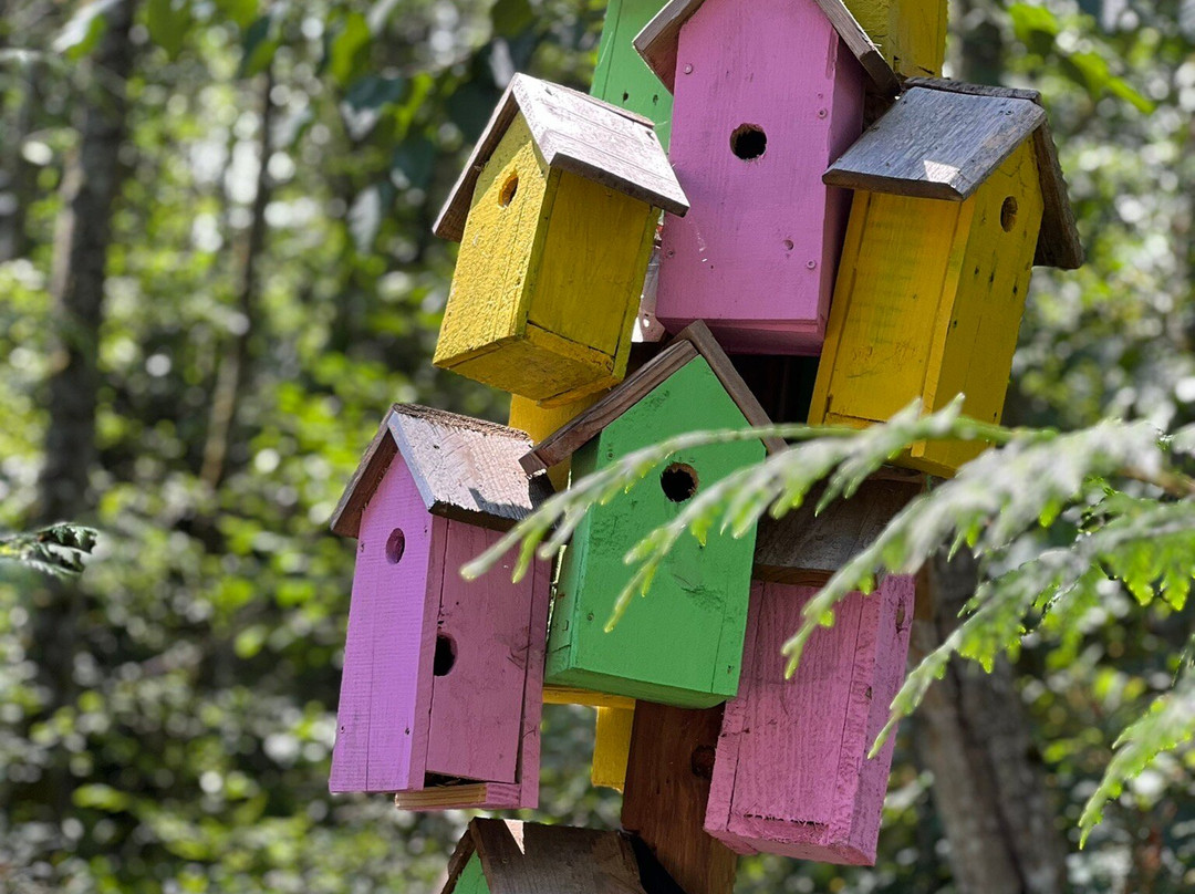 Sakai Park-班布里奇岛必去景点
