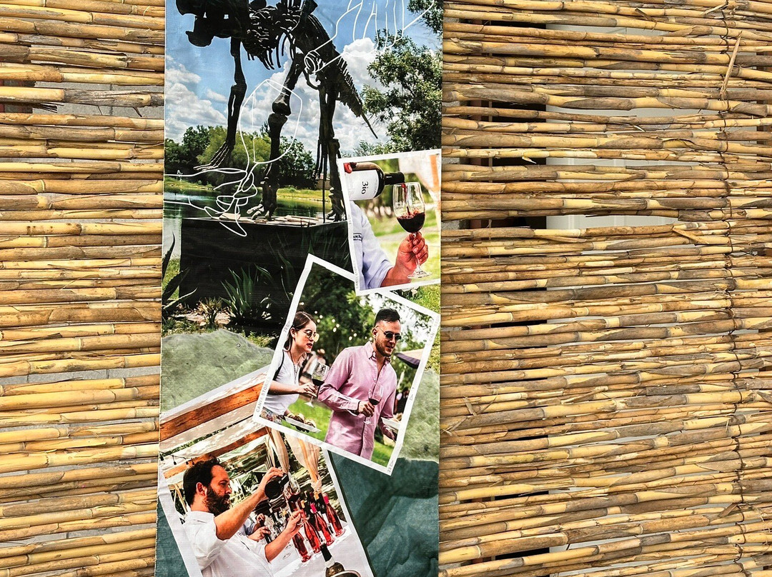 Vinicola Hacienda del Marqués-Parras de la Fuente必去景点