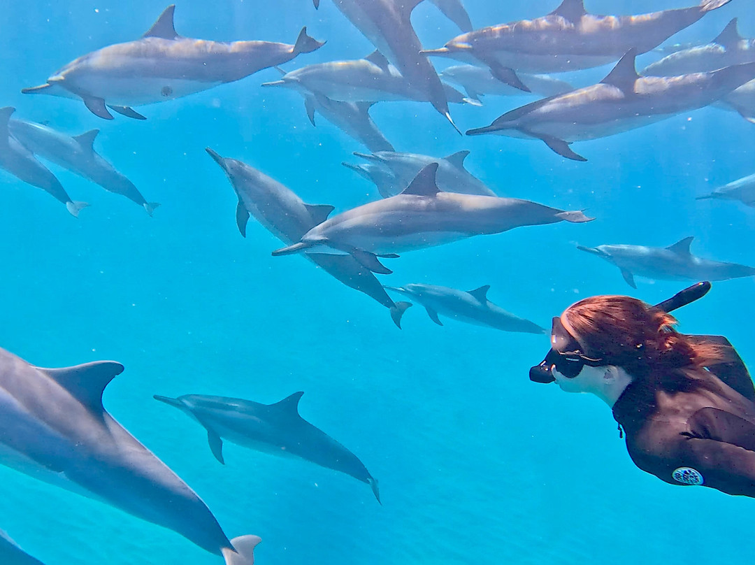 Taxi Guide Ile Maurice-红地必去景点