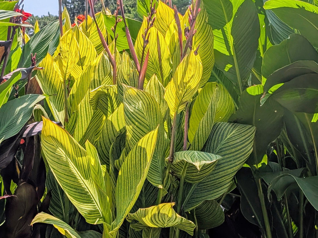 Sunken Gardens-林肯必去景点