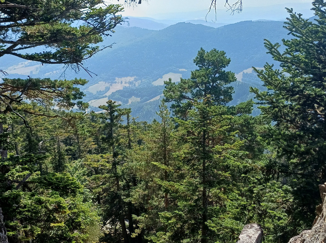 Visites guidees de Lalouvesc-Lalouvesc必去景点