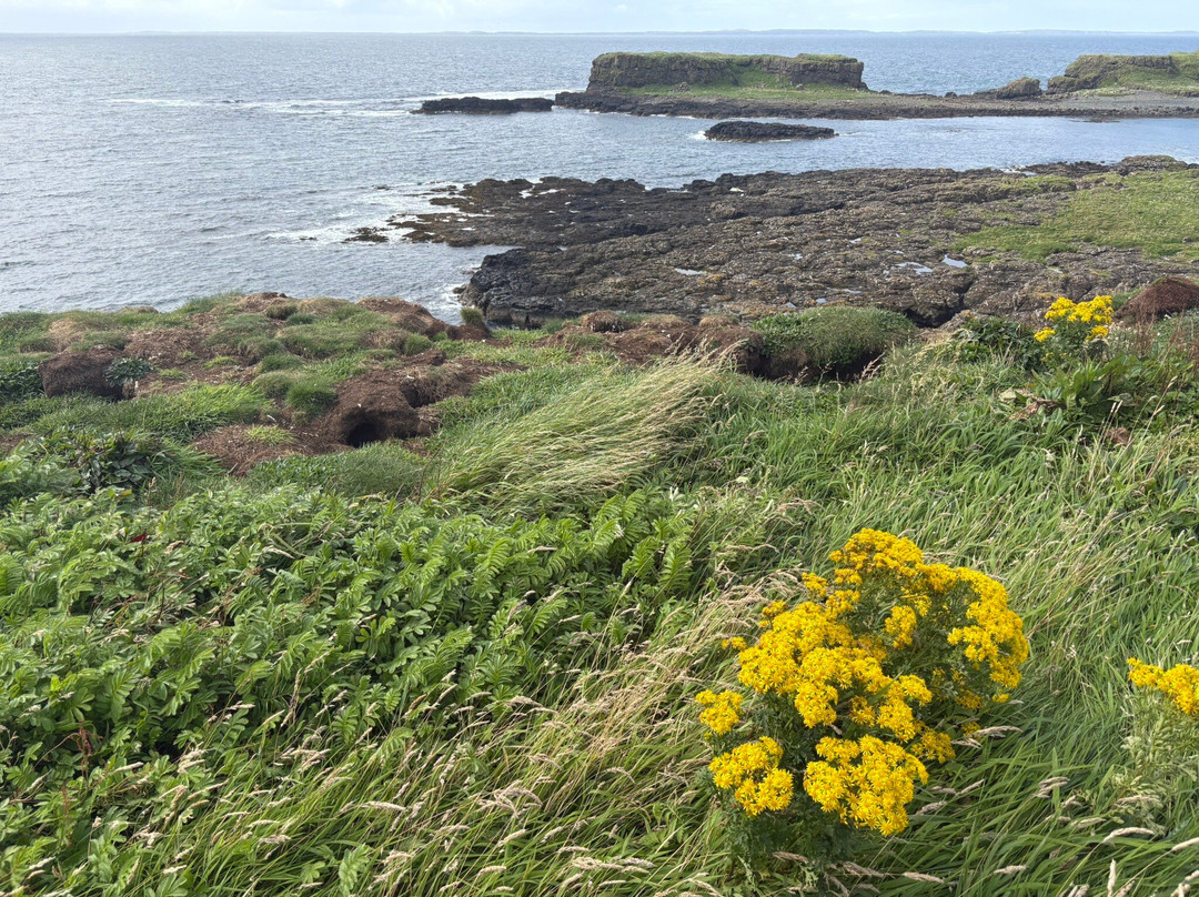 Turus Mara-Dervaig必去景点