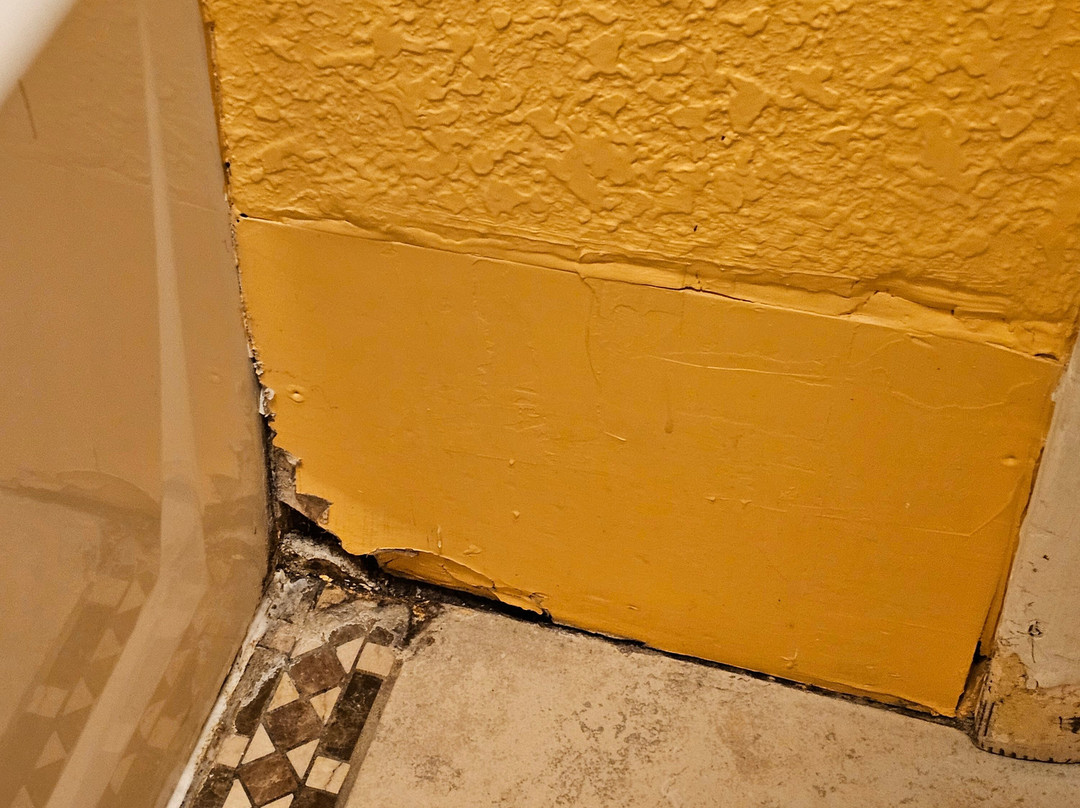 Royal Victorian Motel主图