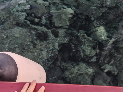 Antonio - Escursioni in Barca-Giardini Naxos必去景点