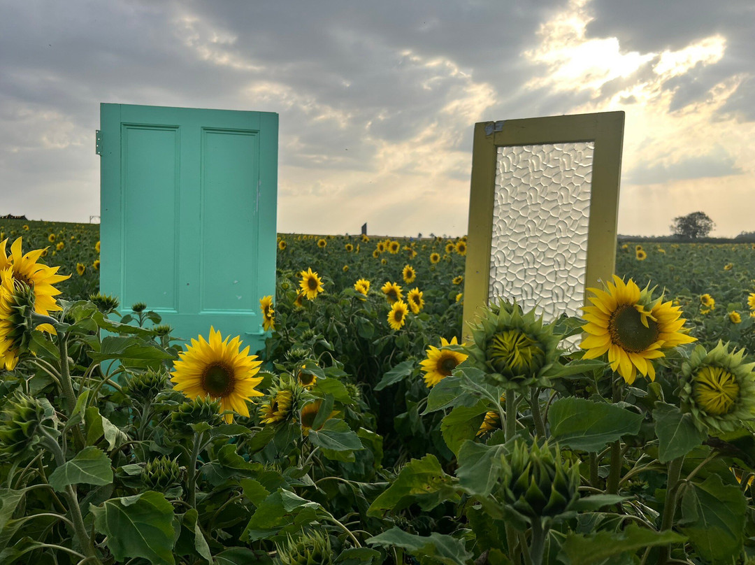 Balgone Estate-北柏威克必去景点