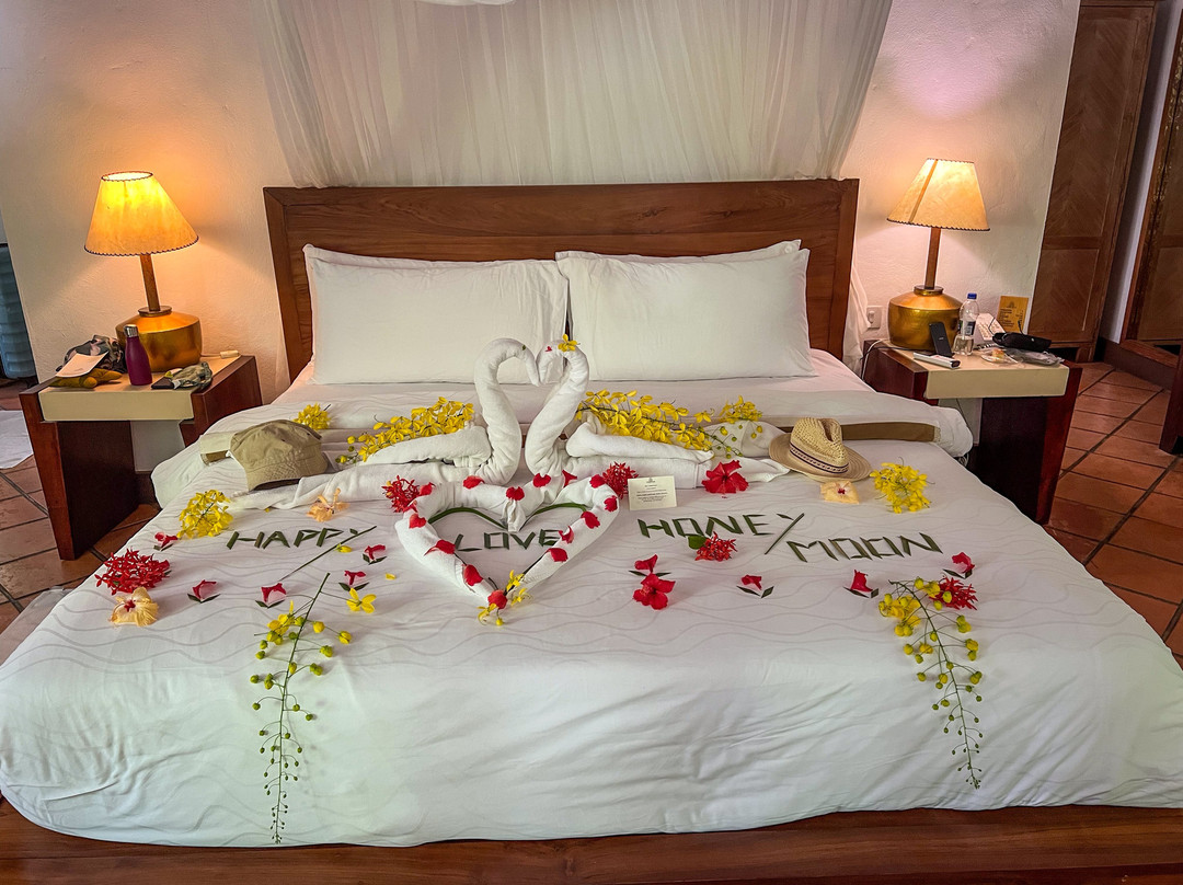 柯可棕榈杜妮科酒店主图