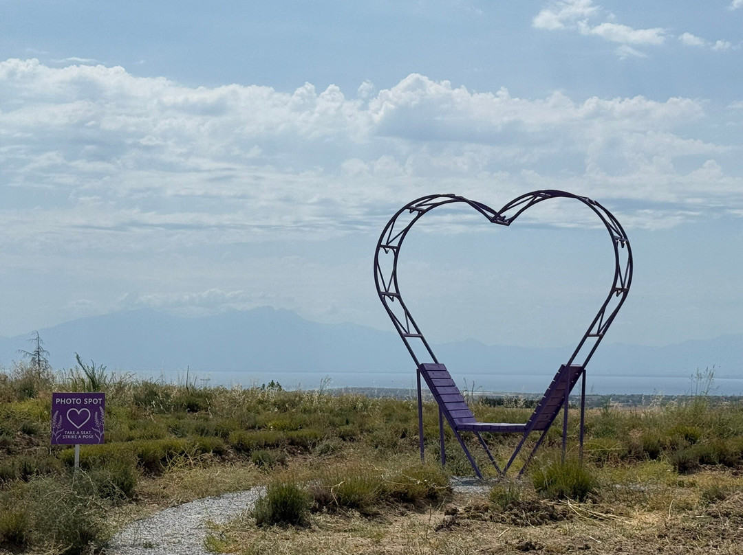 Alpha Lavender-Mesimeri必去景点