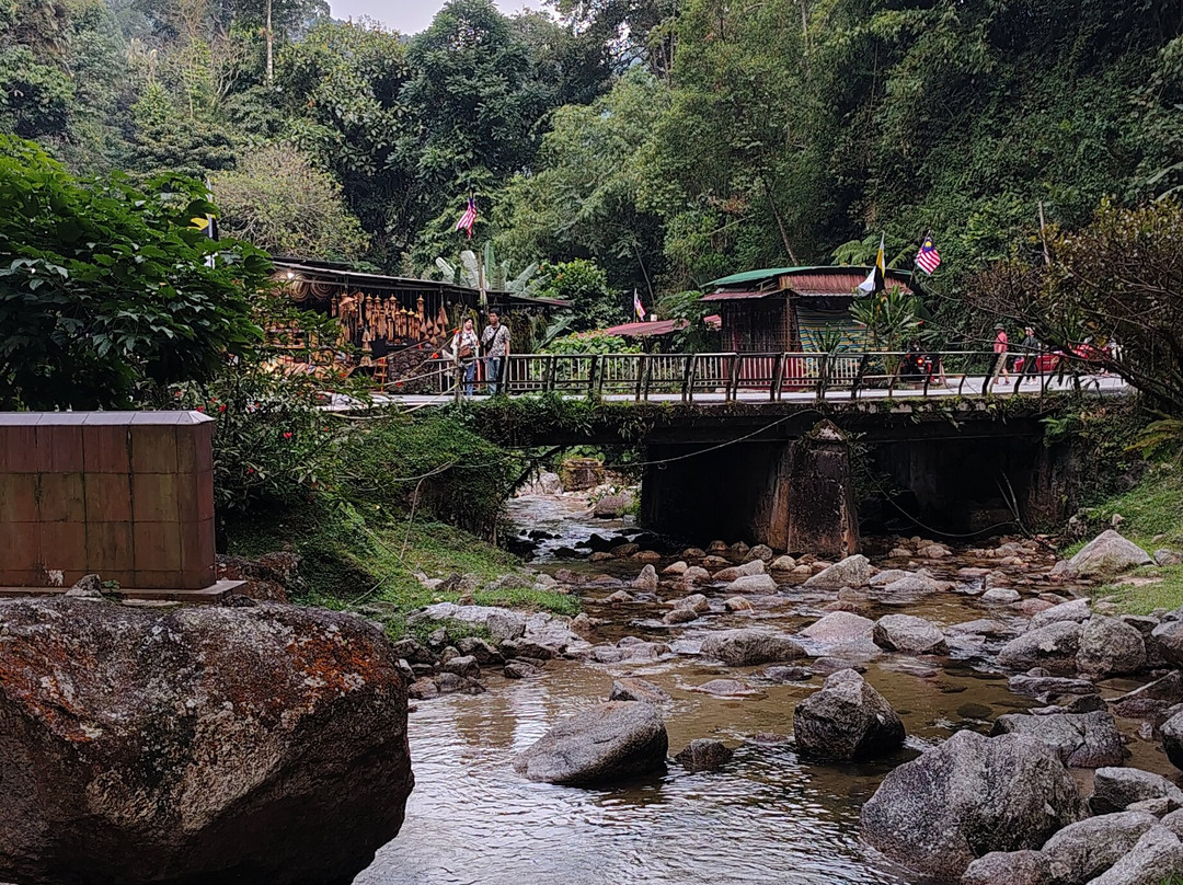 Thompson Falls-金马仑高原必去景点