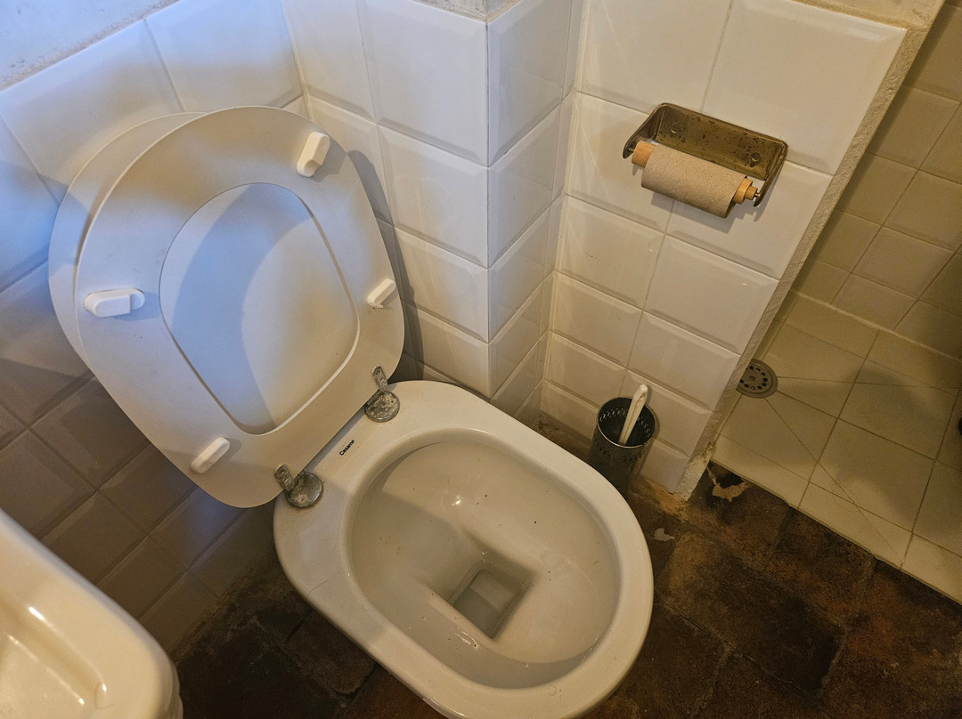 Villa Michaela (già Villa Nottolini)-卢卡必去景点