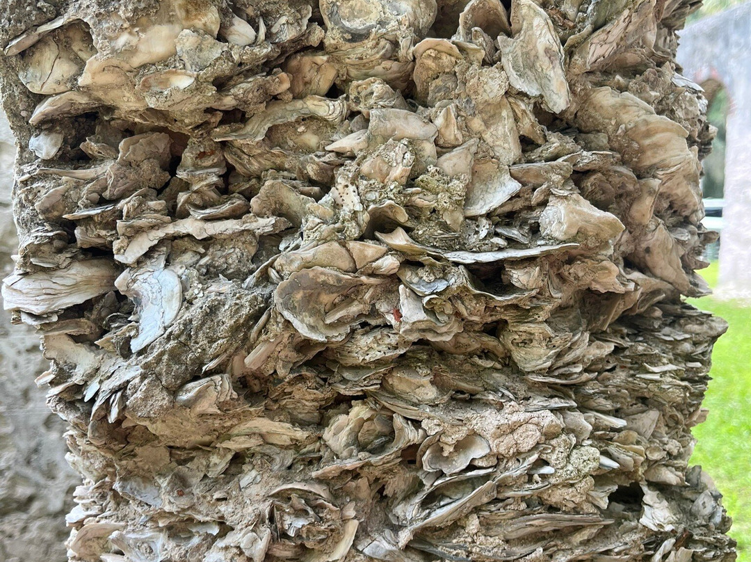 Chapel of Ease-Saint Helena Island必去景点