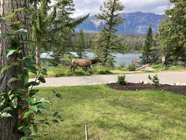 帕特里夏湖度假村主图