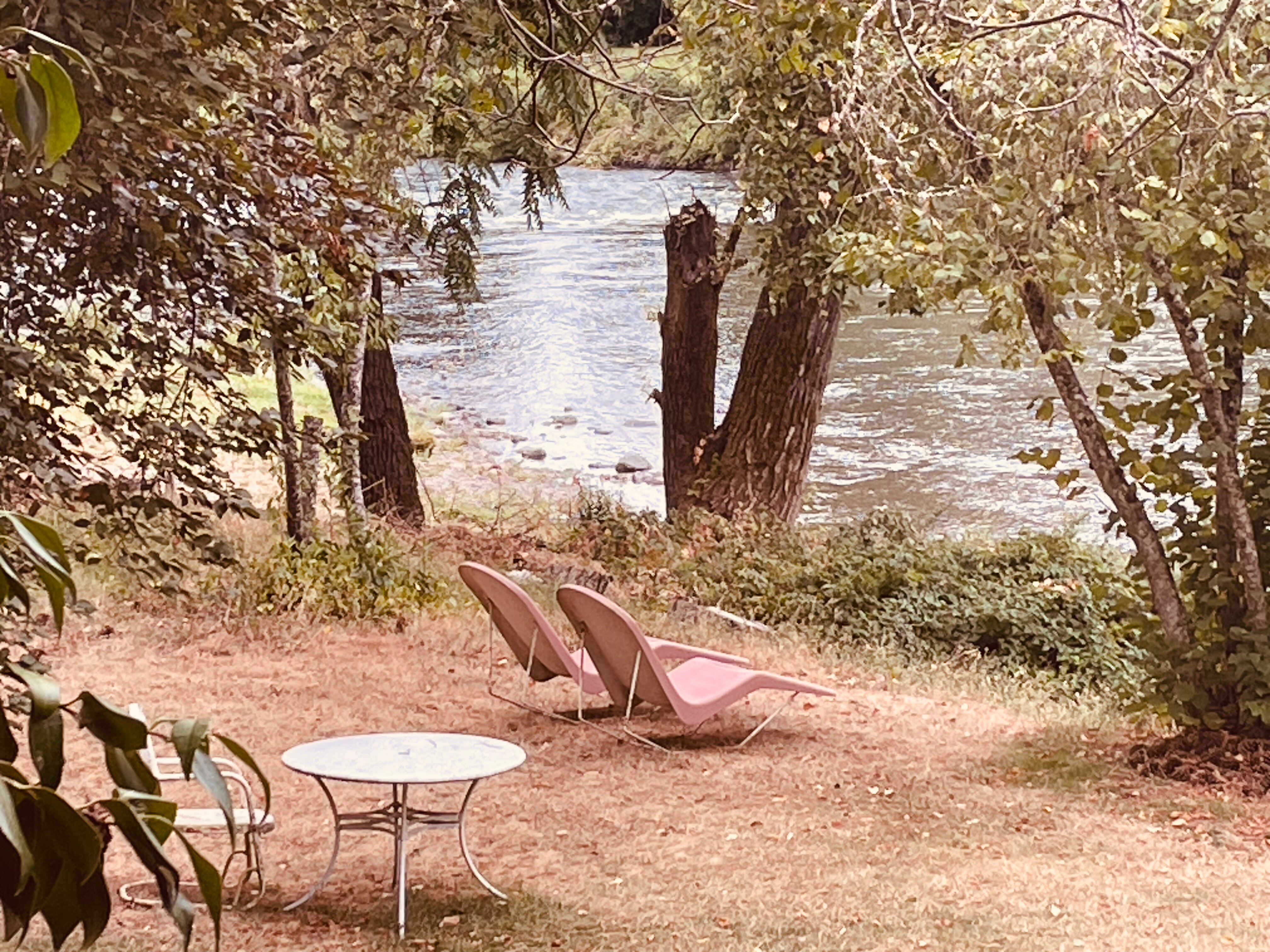 Motel Del Rogue-官方