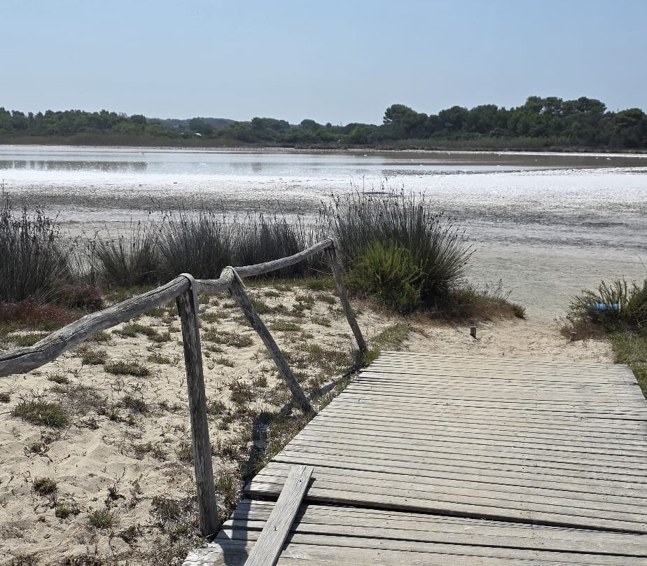 Chiosco Cala Salina-Calasetta必去景点