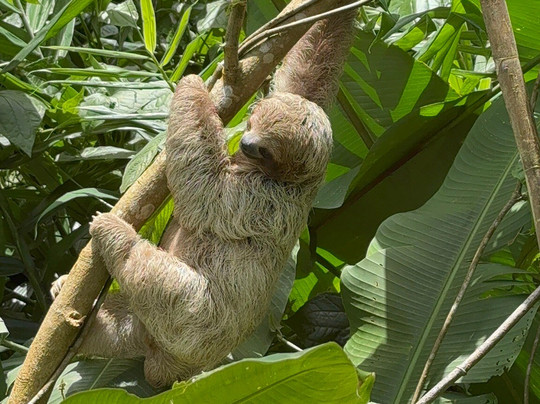 Orly Tours-塔马林多必去景点