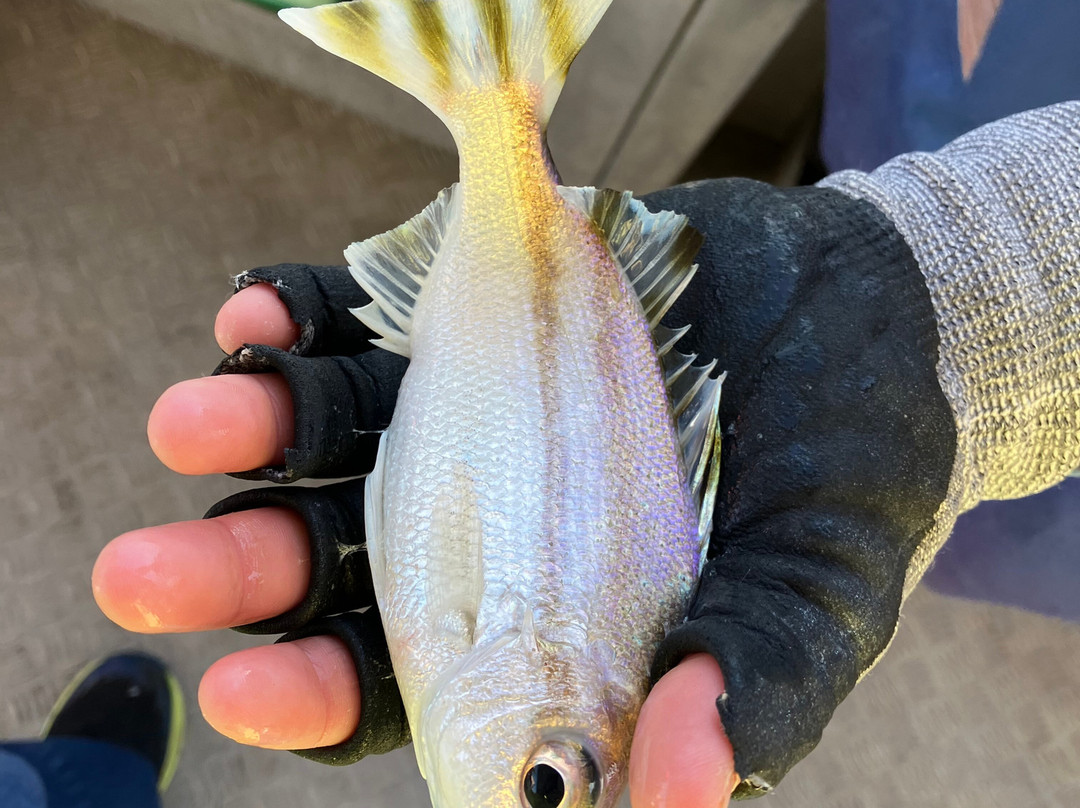 Equinox Fishing Charters-达尔文市必去景点