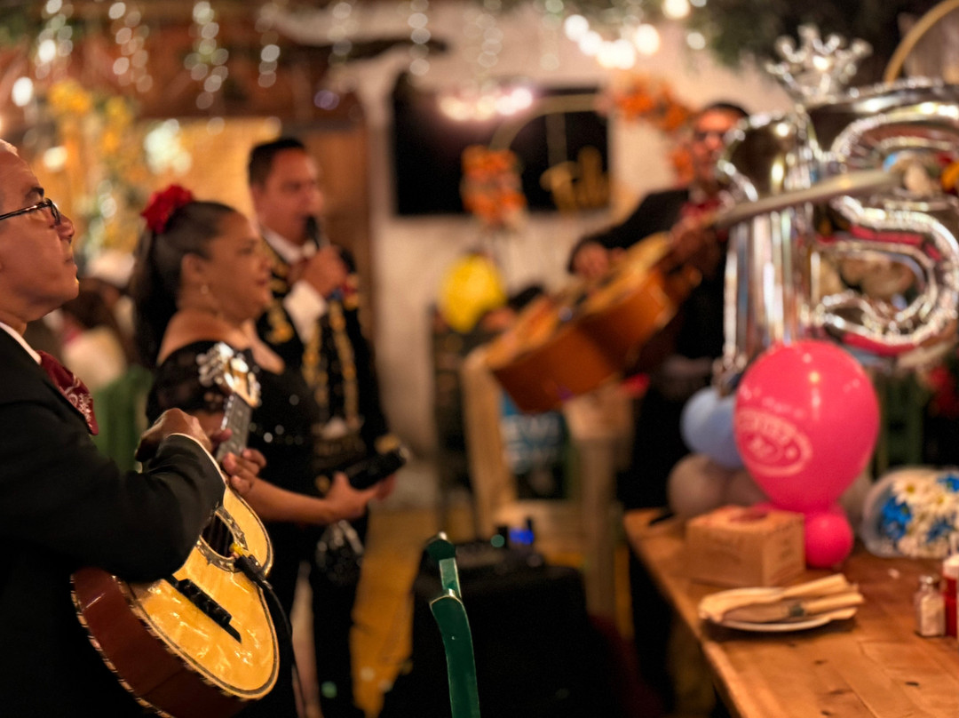 Mariachis en cucuta Trompeta de Oro-库库塔必去景点