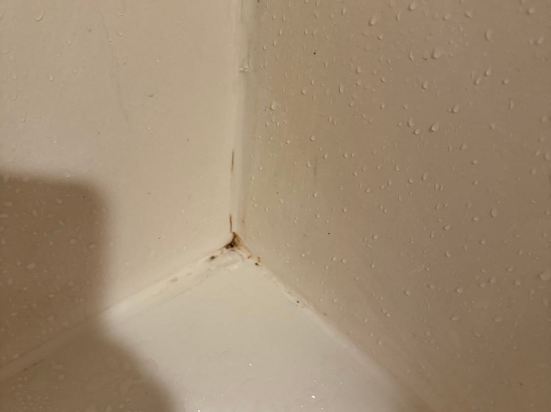 博伊西镇广场拉昆塔温德姆套房酒店主图