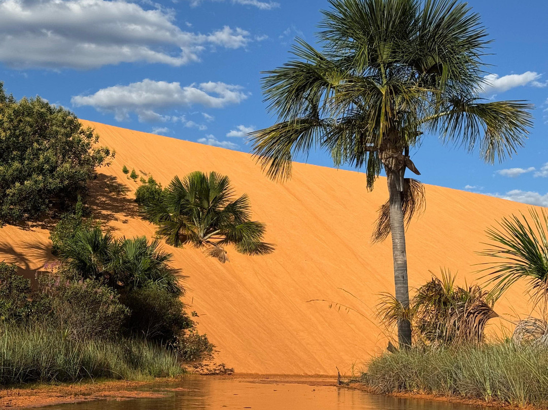 Jalapao Max Tour-Ponte Alta do Tocantins必去景点