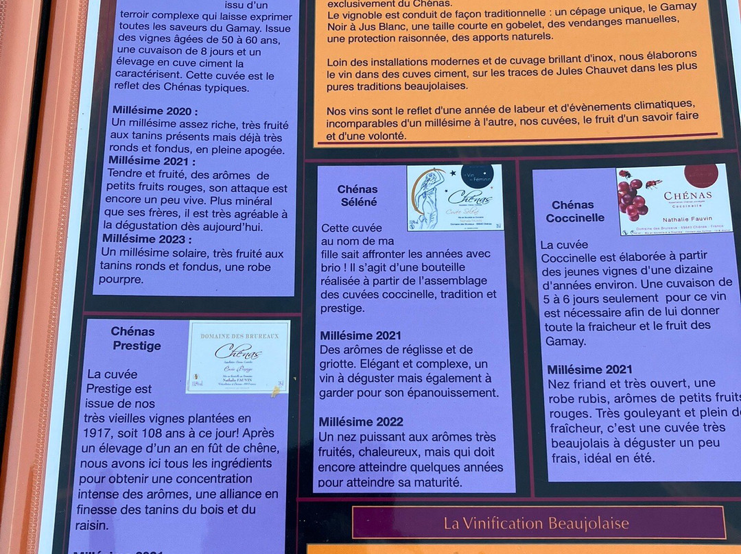 Auberge Les Hauts De Chenas主图