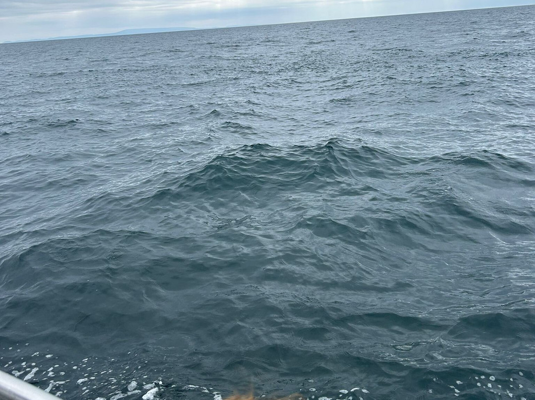 Sliabh Liag Boat Tours-Carrick必去景点