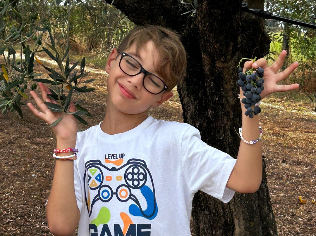 Fattoria Lucciano主图