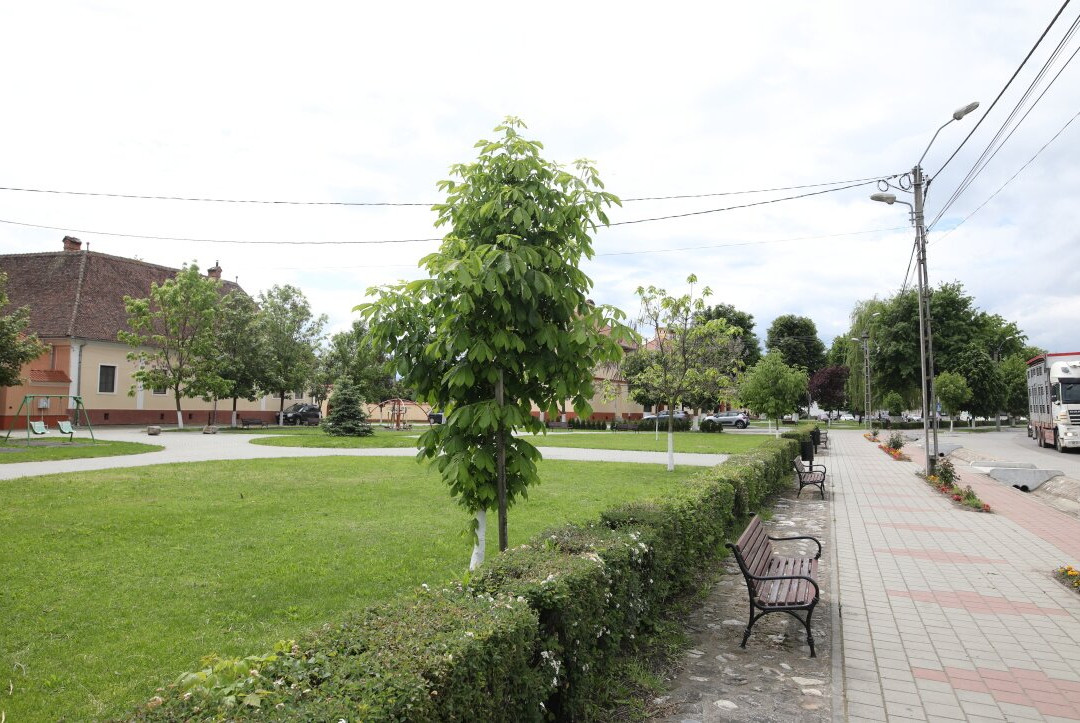 Parc Prejmer-Prejmer必去景点