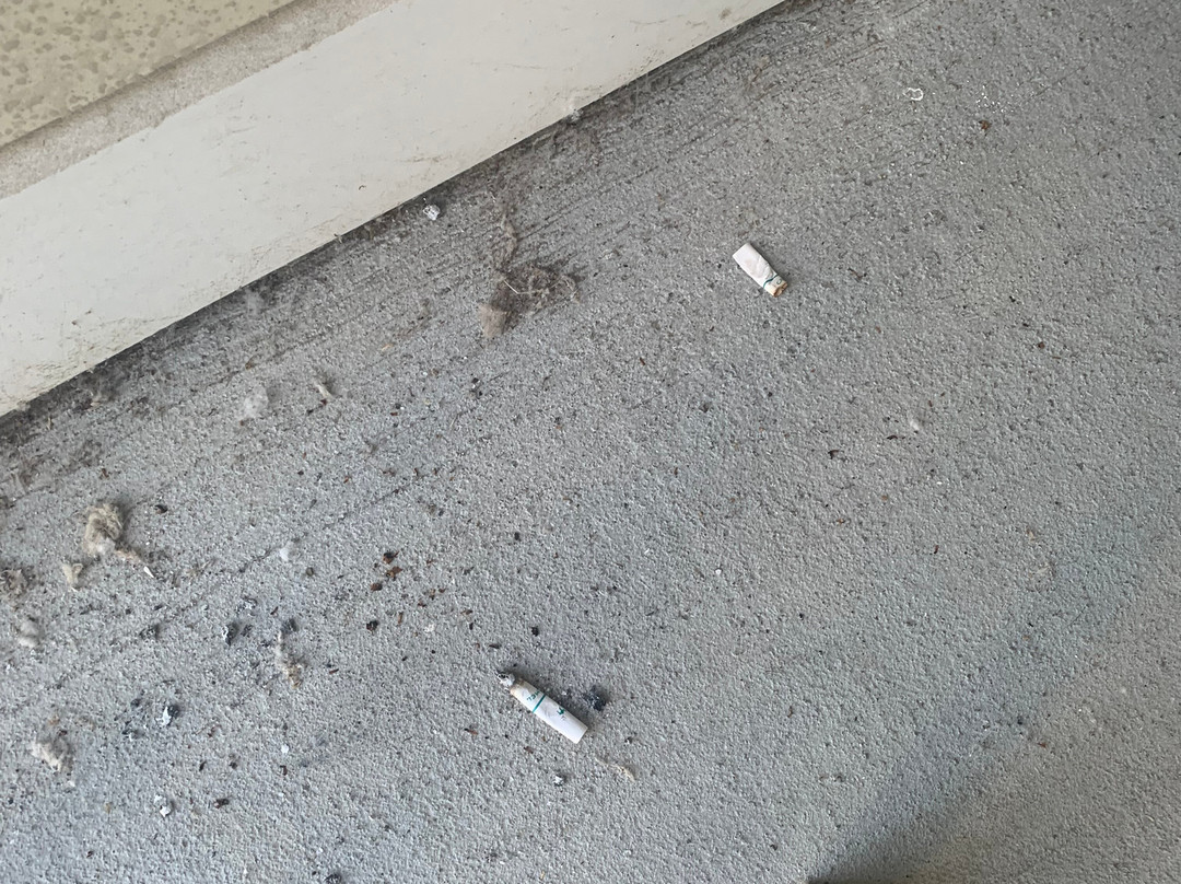 Homewood Suites by Hilton Saratoga Springs主图