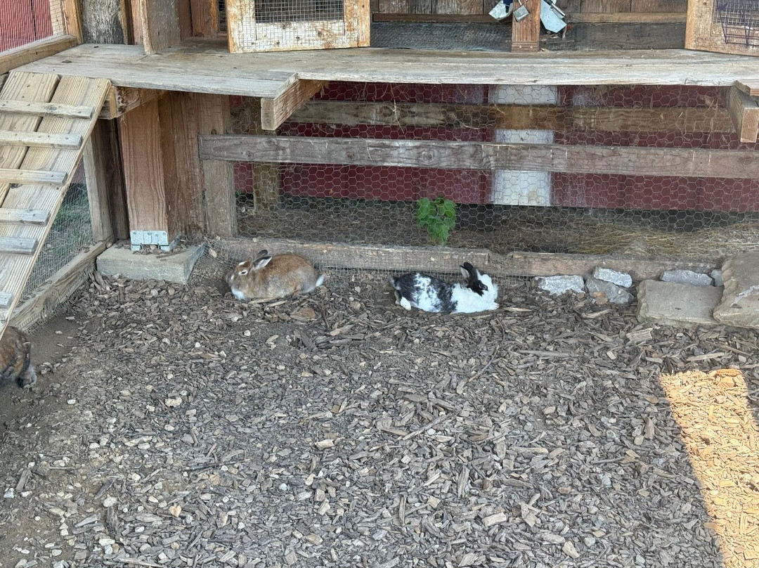 Willoughby Heritage Farm and Conservation Reserve-科林斯维尔必去景点