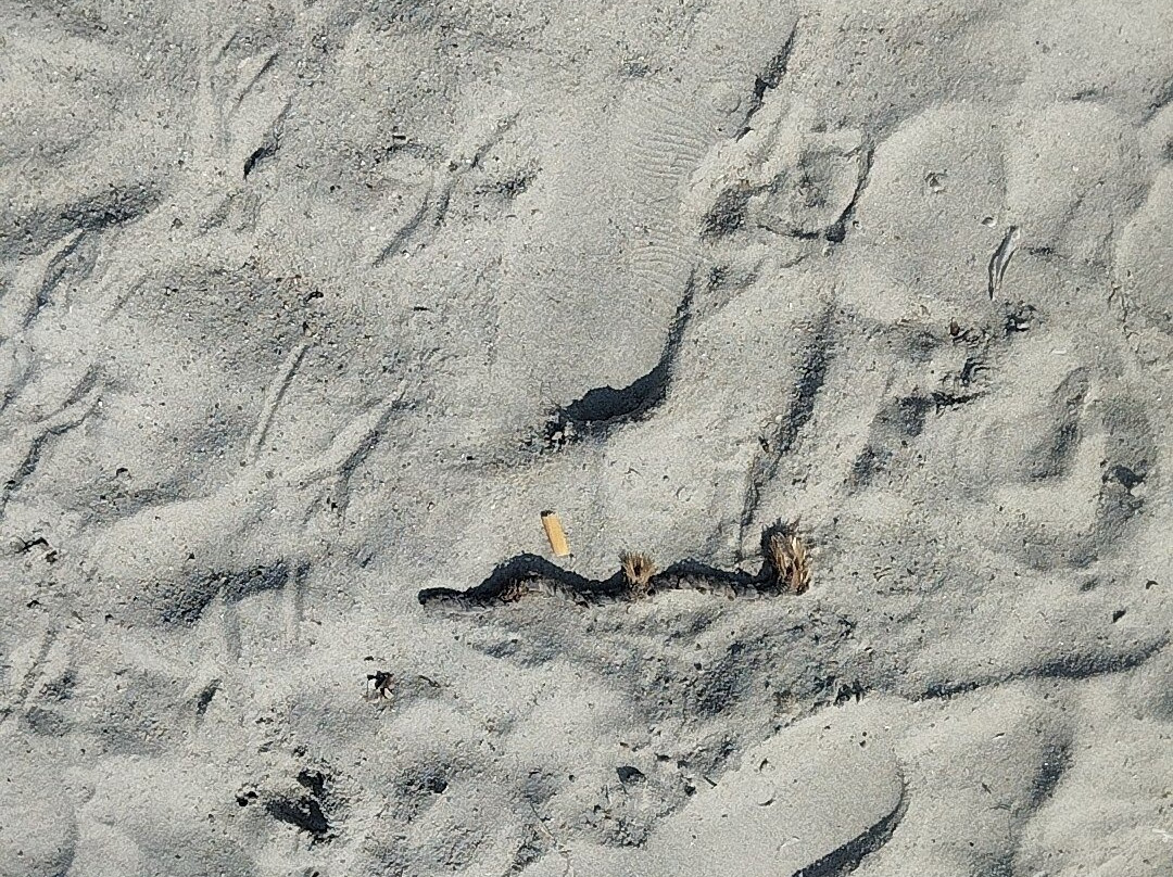 Spiaggia di Lu Impostu-San Teodoro必去景点