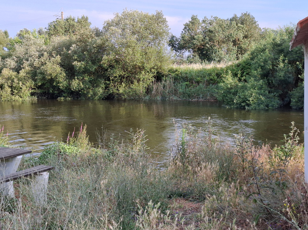 Bico Da Govia-Salvaterra de Magos必去景点