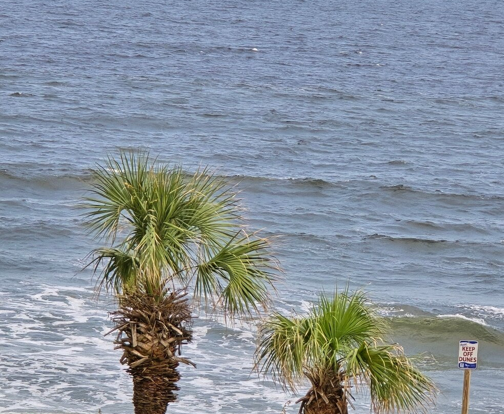 Cherry Grove Beach-美特尔海滩必去景点