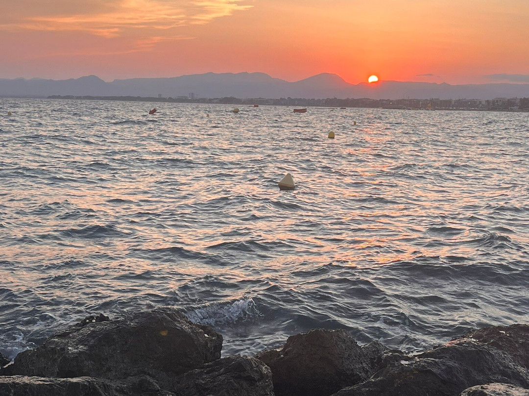 Llevant Beach-萨洛必去景点