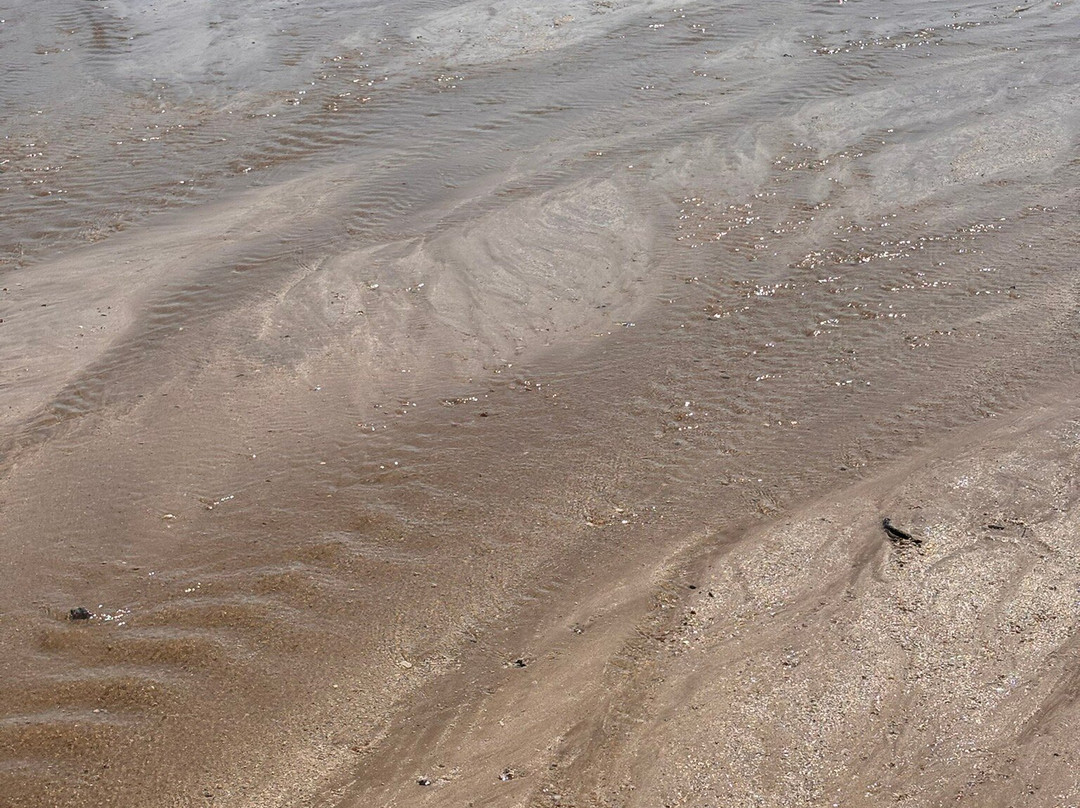 Quarta Praia-莫罗圣保罗必去景点