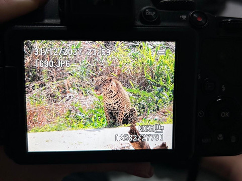Ecoverde Tours-Cuiaba必去景点