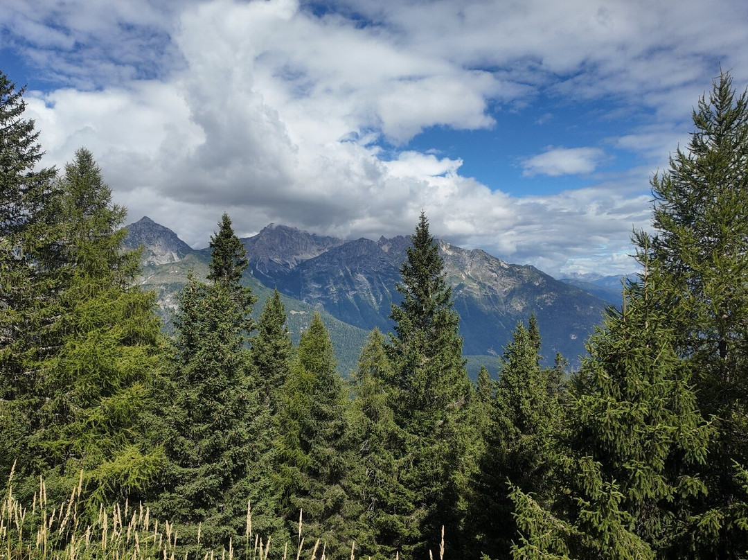 Hotel Rosa Alpina主图