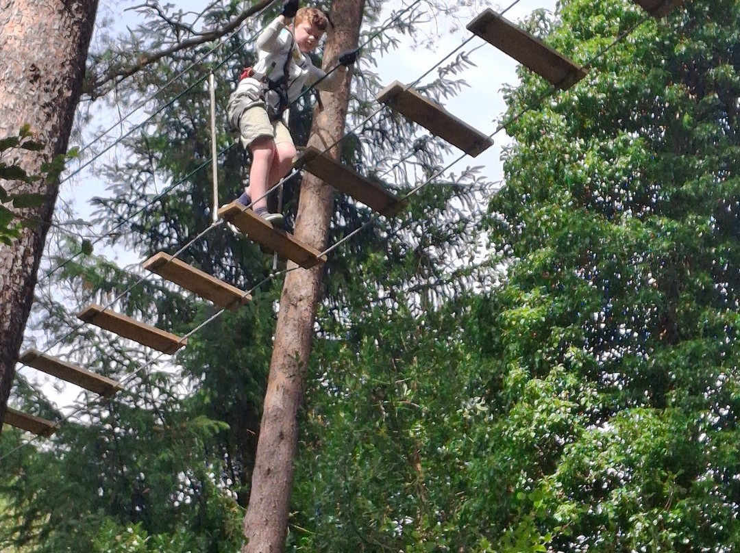 Go Ape Haldon Forest Park-埃克塞特必去景点