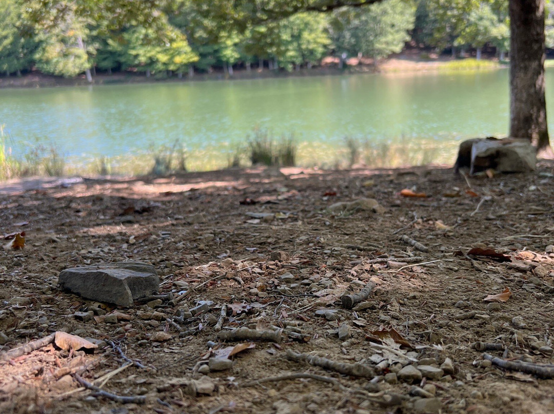 Lago Maulazzo-Alcara li Fusi必去景点