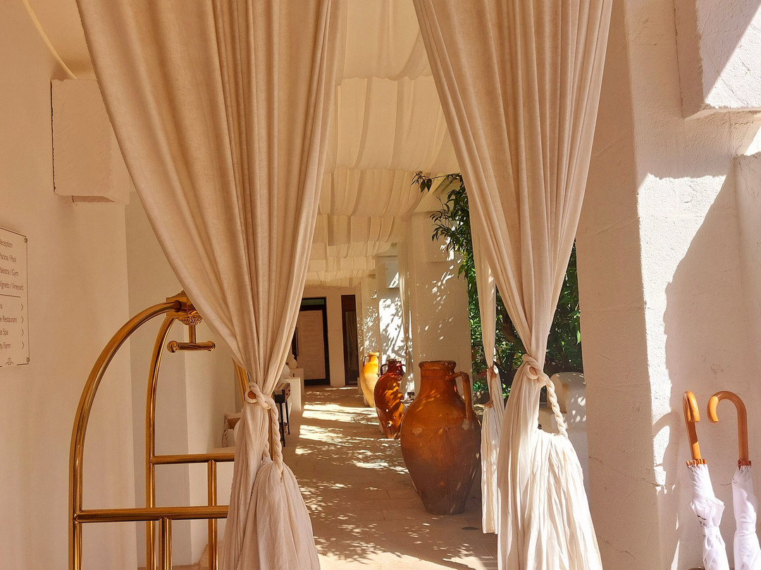 Masseria Messapia Wine Resort & Spa主图
