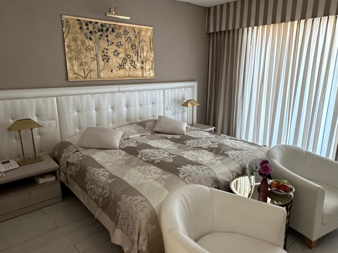 阿斯科纳酒店主图