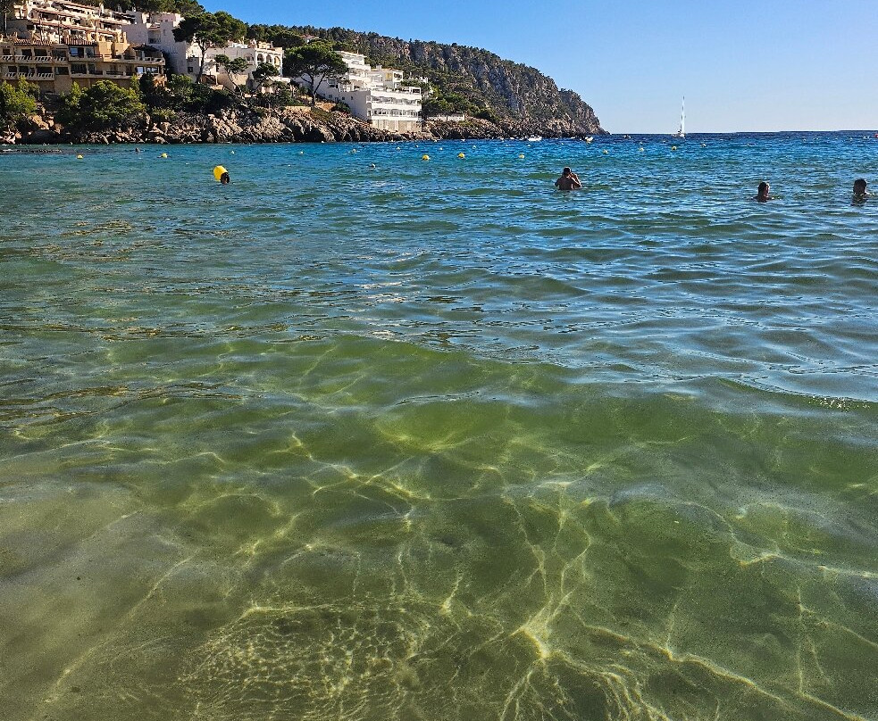 Platja De Sant Elm-Andratx必去景点