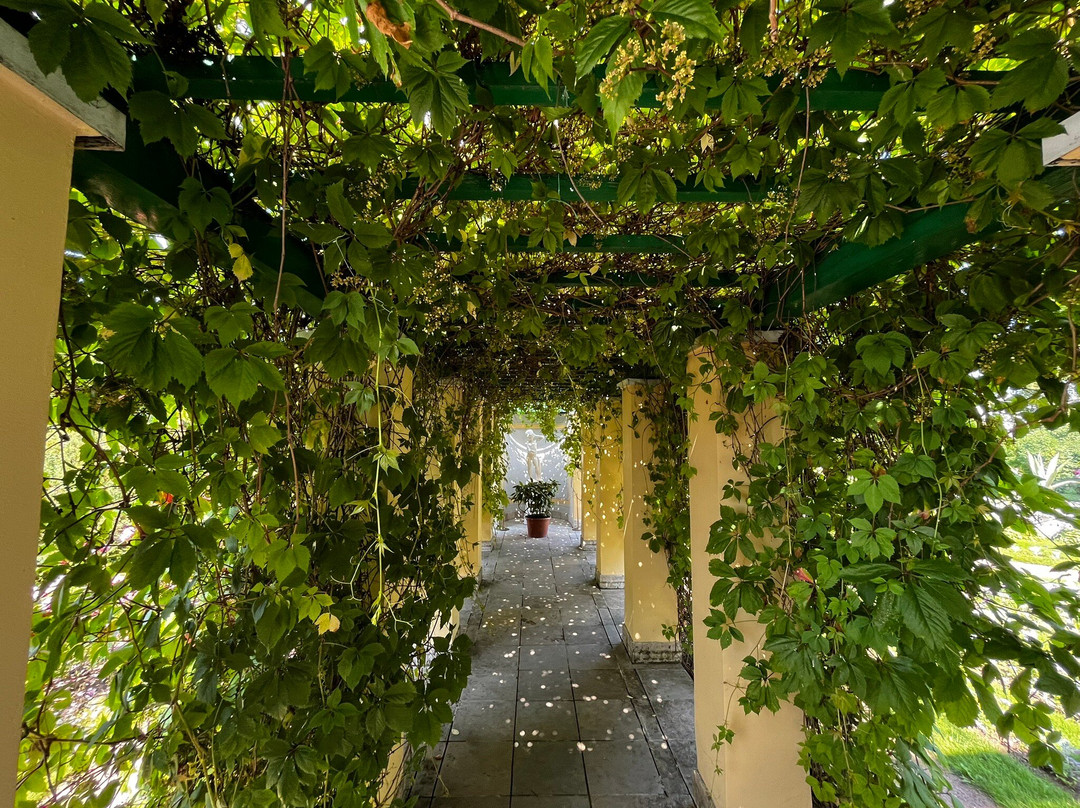Kolonistskiy Park-彼得霍夫必去景点