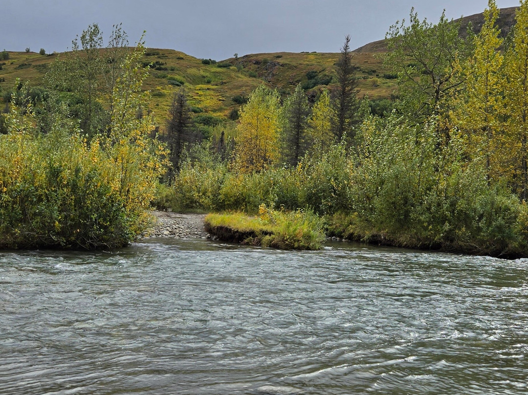 Snowhook Adventure Guides of Alaska-Willow必去景点