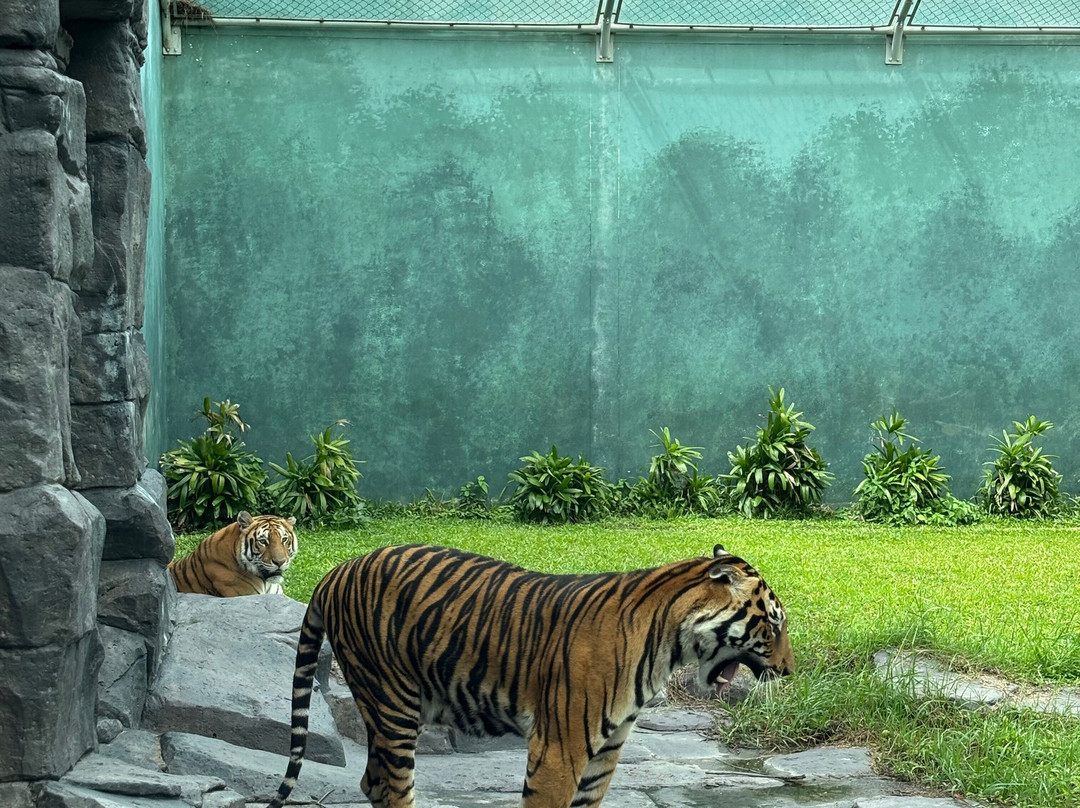 Angkor Wildlife & Aquarium-暹粒必去景点