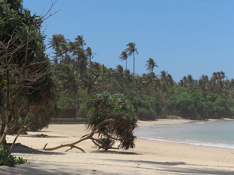 Sri Lanka Tourist Driver-Gampaha必去景点