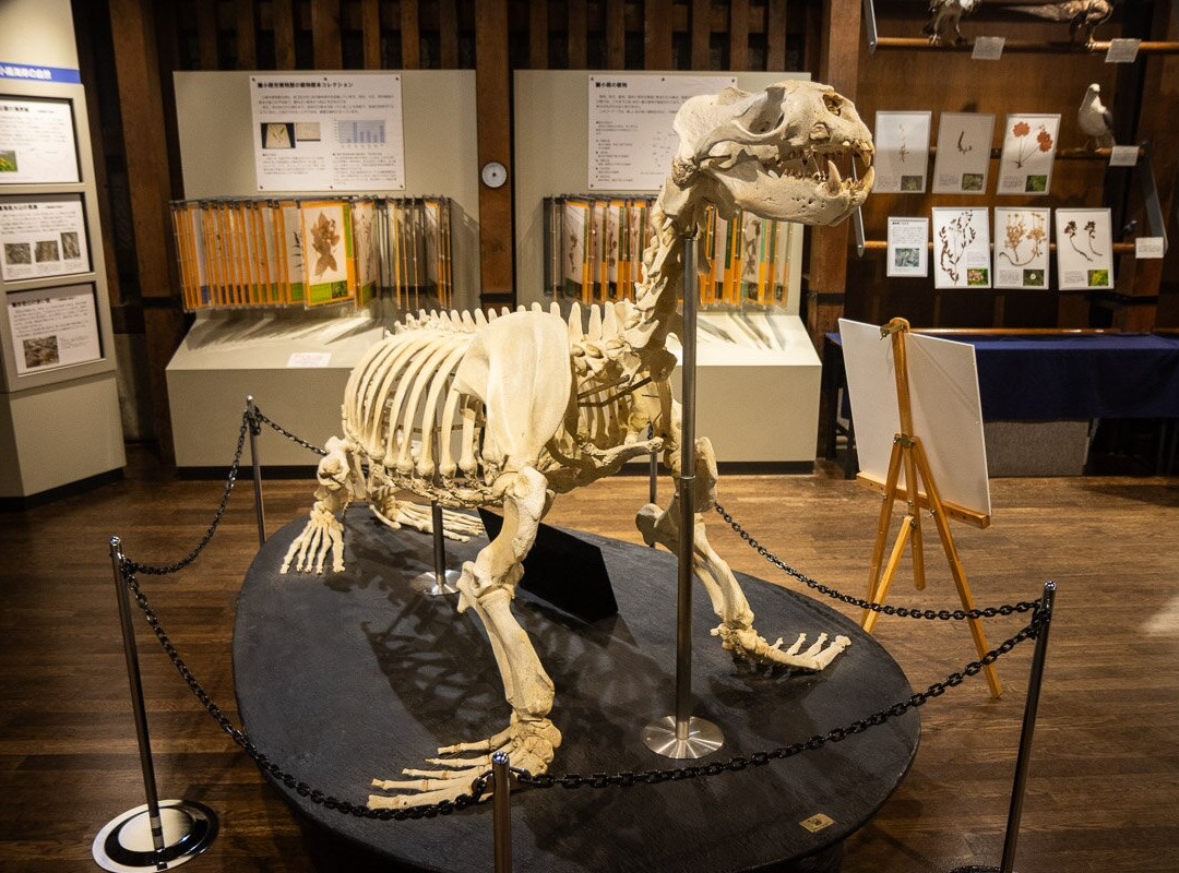 Otaru City General Museum Ungakan-小樽市必去景点