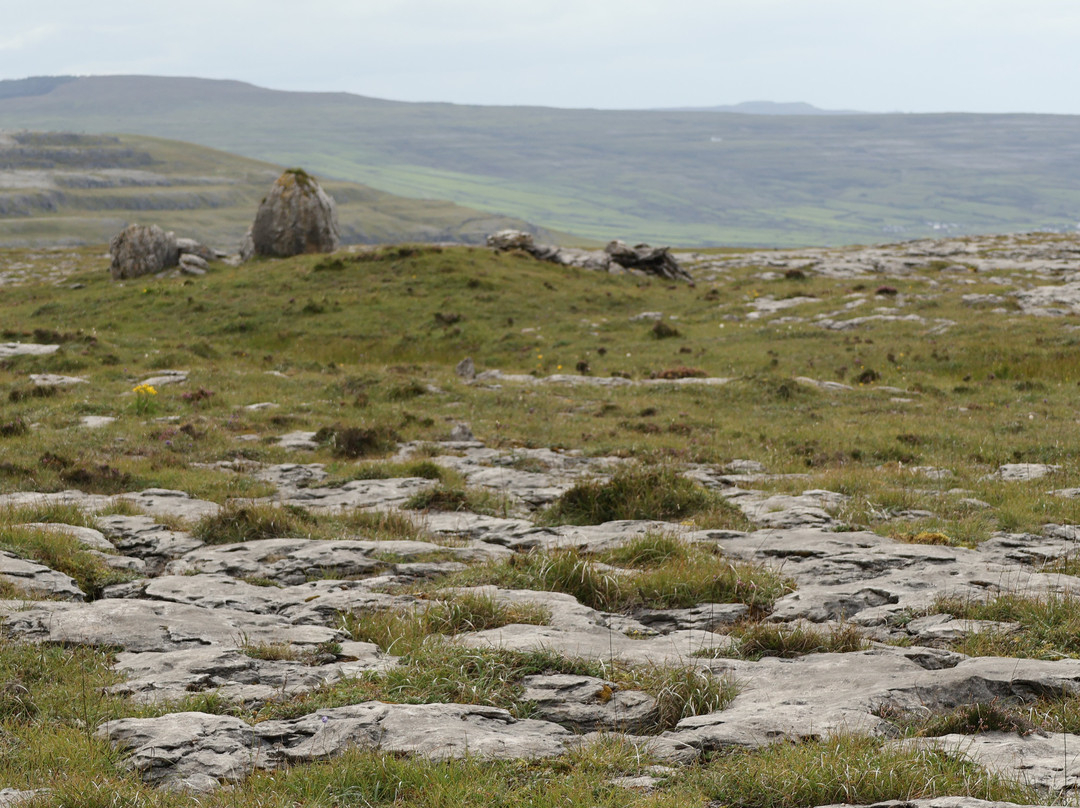Burren Mountain Tours-Fanore必去景点