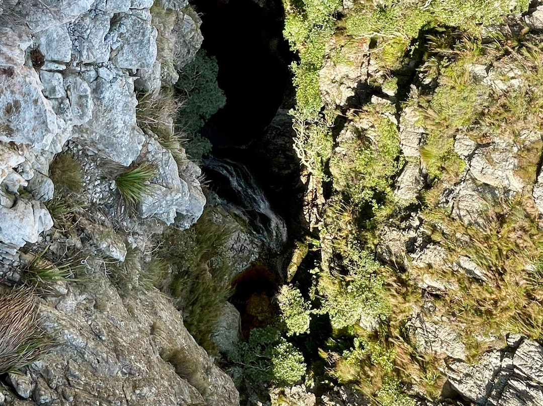 Cape Canopy Tour-Elgin必去景点